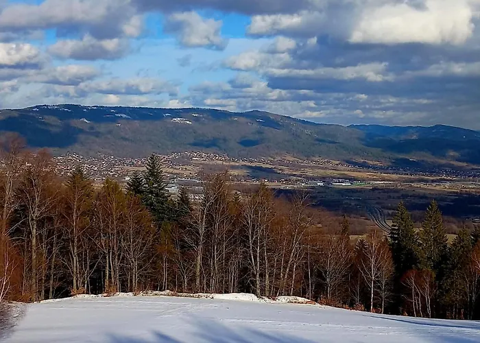 Gorski Na Polanie Goryczkowej 700 M Npm - Dojazd Samochodem Terenowym, W Zimie Utrudniony - Wymagane Lancuchy Szczyrk