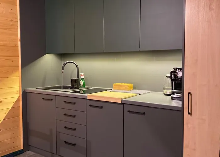 Gorski Na Polanie Goryczkowej 700 M Npm - Dojazd Samochodem Terenowym, W Zimie Utrudniony - Wymagane Lancuchy Chalet Szczyrk