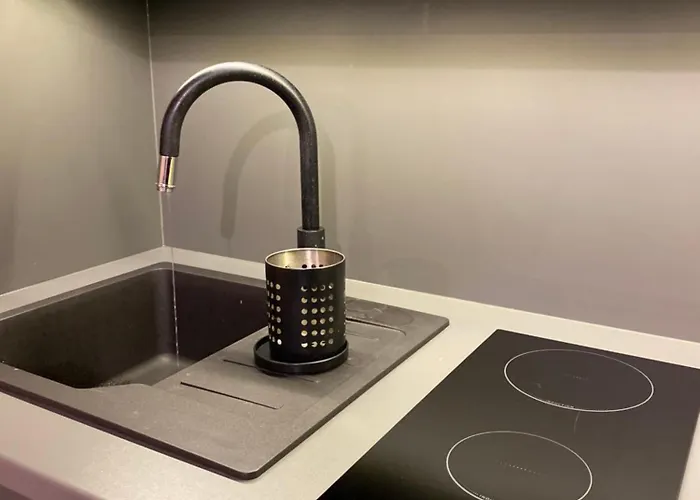 Gorski Na Polanie Goryczkowej 700 M Npm - Dojazd Samochodem Terenowym, W Zimie Utrudniony - Wymagane Lancuchy