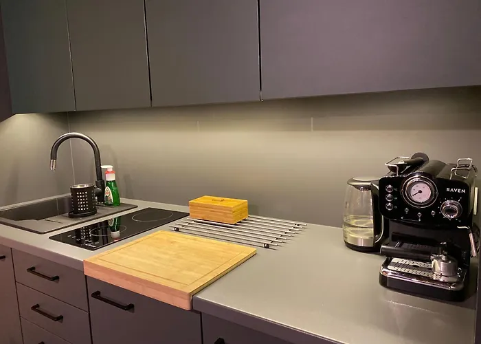 Gorski Na Polanie Goryczkowej 700 M Npm - Dojazd Samochodem Terenowym, W Zimie Utrudniony - Wymagane Lancuchy *