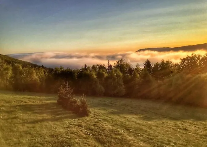 Gorski Na Polanie Goryczkowej 700 M Npm - Dojazd Samochodem Terenowym, W Zimie Utrudniony - Wymagane Lancuchy Chalet *