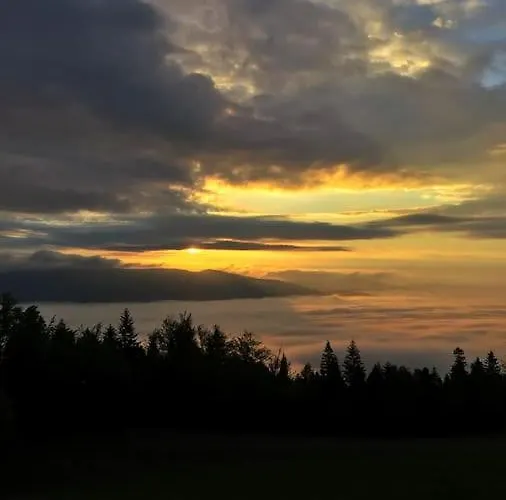 Gorski Na Polanie Goryczkowej 700 M Npm - Dojazd Samochodem Terenowym, W Zimie Utrudniony - Wymagane Lancuchy Szczyrk
