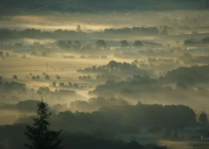 Gorski Na Polanie Goryczkowej 700 M Npm - Dojazd Samochodem Terenowym, W Zimie Utrudniony - Wymagane Lancuchy