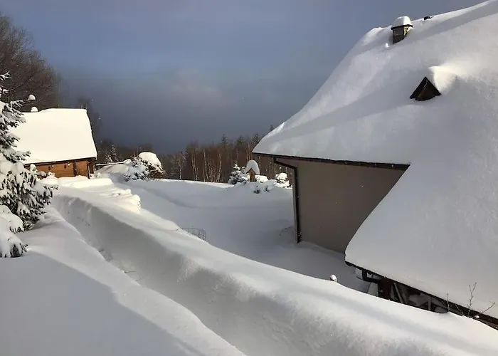 Gorski Na Polanie Goryczkowej 700 M Npm - Dojazd Samochodem Terenowym, W Zimie Utrudniony - Wymagane Lancuchy