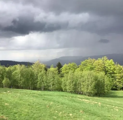 Chalet Gorski Na Polanie Goryczkowej 700 M Npm - Dojazd Samochodem Terenowym, W Zimie Utrudniony - Wymagane Lancuchy Szczyrk