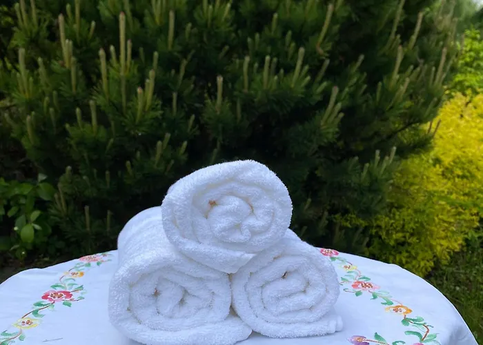 Gorski Na Polanie Goryczkowej 700 M Npm - Dojazd Samochodem Terenowym, W Zimie Utrudniony - Wymagane Lancuchy Chalet Szczyrk